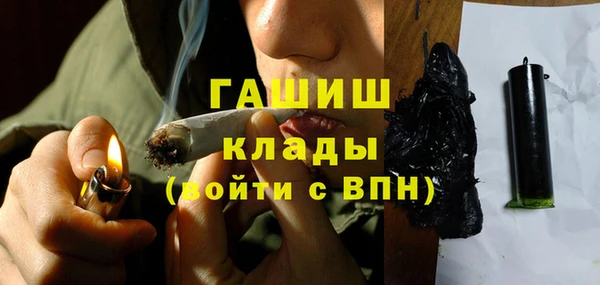 гашик Верея