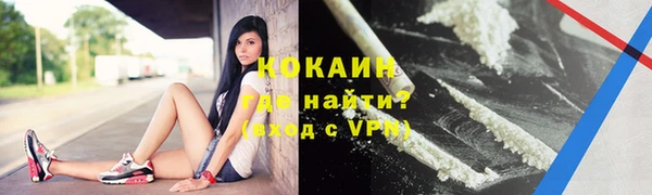 гашик Верея
