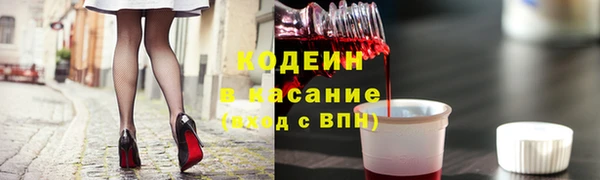 гашик Верея