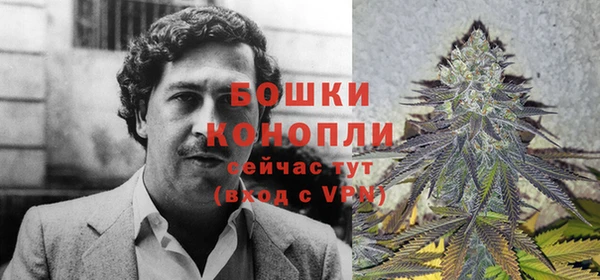 гашик Верея