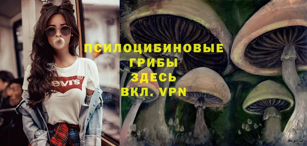 гашик Верея