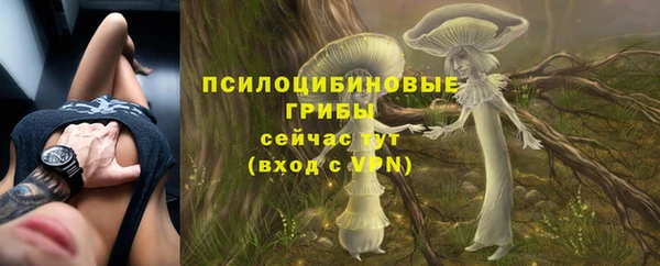 гашик Верея