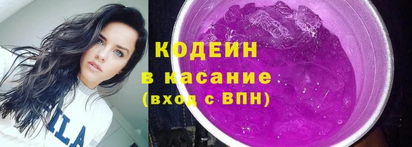 гашик Верея