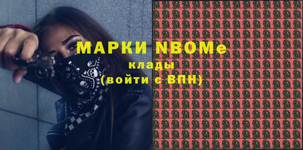 гашик Верея