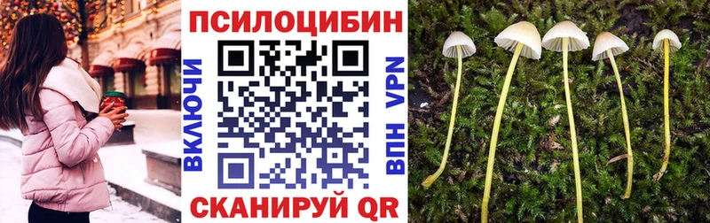 где можно купить наркотик  Канаш  Псилоцибиновые грибы Cubensis 